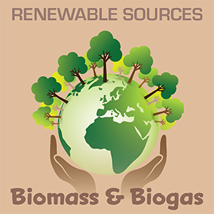 Biomass & Biogas 2024